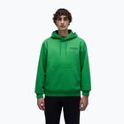 Pánska mikina Napapijri B-Linth Hooded green kelly