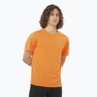 Pánske tričko Salomon Outline Tee turmeric