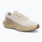 Pánske bežecké topánky Salomon Drx Defy GRVL vanilla ice/green haze/white pepper