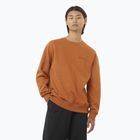 Pánska mikina Salomon Logo Crewneck sierra