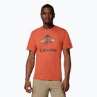 Pánske tričko Columbia Rapid Ridge Graphic tuscan/heavenly