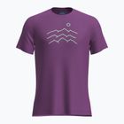 Pánske trekingové tričko Icebreaker Merino 125 Cool-Lite Sphere Tee Across The Peaks passion