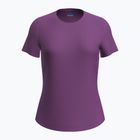Dámske trekingové tričko Icebreaker Merino 125 Cool-Lite Sphere III SS Tee passion
