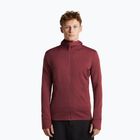 Pánska mikina Icebreaker Merino 260 Quantum IV LS Zip Hoodie port/agate