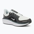 Pánska bežecká obuv Nike Winflo 11 GORE-TEX anthracite/black/photon dust/metallic silver