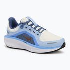 Dámska bežecká obuv Nike Winflo 11 GORE-TEX phantom/footballgrey/cobaltbliss/metallicredbronze