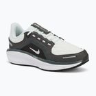 Dámska bežecká obuv Nike Winflo 11 GORE-TEX anthracite/black/photon dust/metallic silver