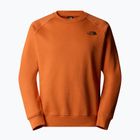 Pánska mikina The North Face Raglan Box Nse Crew iron bronz/tnf black
