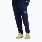 Pánske trekingové nohavice The North Face Simple Dome Light Regular Tapered Jogger summit navy