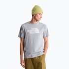 Pánske tričko The North Face Evolution Half Dome tnf pale grey heather
