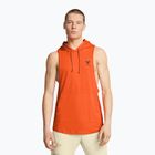 Pánske tréningové tričko Under Armour Project Rock Payoff SL HD orange