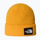 Zimná čiapka The North Face Salty Lined