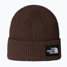Zimná čiapka The North Face Salty Lined