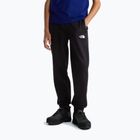 Pánske nohavice The North Face Performance Fleece Jogger tnf black