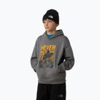 Detska majica The North Face Sports Oversized Hoodie Graphic smoked pearl