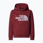 Detská mikina The North Face Teen Drew Peak Pullover Hoodie sumac