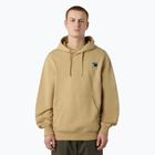 Pánska mikina The North Face Mountain Logo Relaxed Hooded khaki stone
