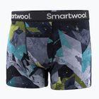 Pánske termo boxerky Smartwool Merino Print Boxer Brief Boxed blue sum sector