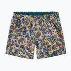 Dámske šortky Patagonia Baggies 5" wild botanist/tidal teal