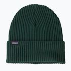 Zimná čiapka Patagonia Fishermans Rolled Beanie cascade green