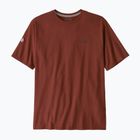 Pánske  tričko Patagonia Fitz Roy Icon Responsibili-Tee dried vanilla