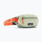 Ľadvinka Patagonia Terravia Mini Hip lichen green