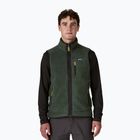 Pánska vesta Patagonia Retro Pile Fleece old growth green