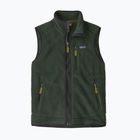 Pánska vesta Patagonia Retro Pile Fleece old growth green
