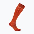 Pánske lyžiarske ponožky icebreaker Merino Ski+ Ultralight OTC fervid/agate