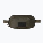 Ľadvinka The North Face BCV Pro Travel new taupe green/tnf black