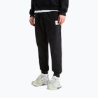 Pánske nohavice The North Face Evo Box Half Dome Regular Tappered tnf black