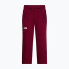 Dámske lyžiarske nohavice The North Face Lenado burgundy crush