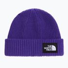 Zimná čiapka The North Face Salty Lined peak purple