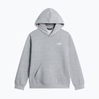 Detská mikina The North Face Evolution Simple Dome Pullover Hood tnf pale grey heather