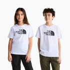 Detské tričko The North Face Evolution Half Dome SS Tee tnf white