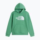 Detská mikina The Noryh Face Essential Drew Peak Hoodie dimmed algae