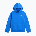 Detská mikina The North Face Evolution Box NSE Pullover Hoodies active blue