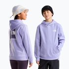 Detská mikina The North Face Evolution Box NSE Pullover Hoodies pale plum