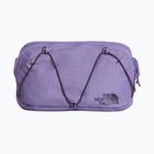 Ľadvinka The North Face Terra Lumbar 1 l grounded plum/endless
