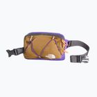 Ľadvinka The North Face Terra Lumbar 1 l utility brown/peak purple