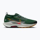 Pánske bežecké topánky Nike Pegasus Trail 5 GORE-TEX fir/bright crimson/clay green