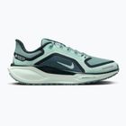 Dámske bežecké topánky Nike Pegasus 41 GORE-TEX cannon/barely green/bleached turquoise