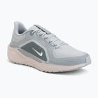 Pánske bežecké topánky Nike Pegasus 41 GTX light pumice/pure platinum/silt red/metal silver