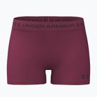 Dámske tréningové šortky Under Armour HeatGear Shorty claret/ox blood