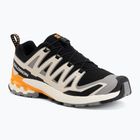 Pánske bežecké topánky Salomon XA Pro 3D V9 black/gull