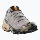 Pánske bežecké topánky Salomon Speedcross 6 GTX gull/white pepper/black