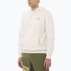 Pánska mikina Salomon Chest Logo Hoodie whisper white