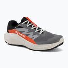 Pánske bežecké topánky Salomon Alphaglide GTX castlerock/lunar rock