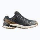 Pánske bežecké topánky Salomon XA PRO 3D V9 GTX Lifelong black/coyote brown/vanilla ice