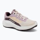Dámske bežecké topánky Salomon Alphaglide tapioca/dawn pink